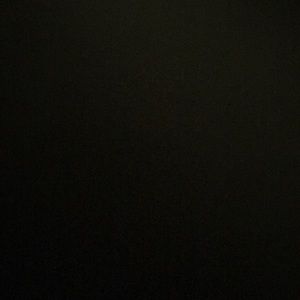 Meet your Posher, Camille